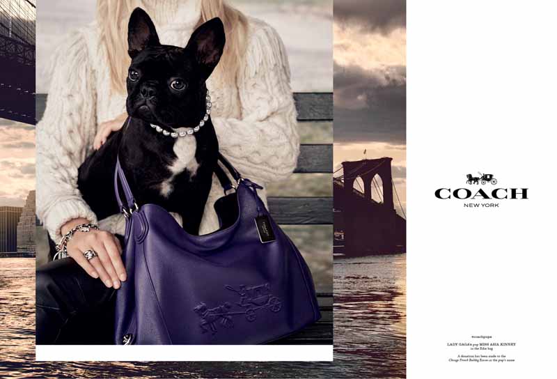 Lady Gaga’s Dog Headlines “Coach Pups” Campaign